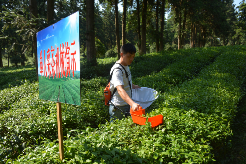 1758808207549388.png 微信图片_2025-09-25_214926_170(1).png