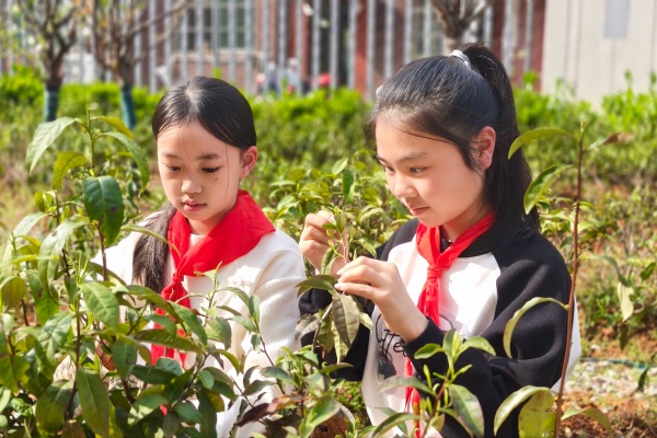 微信图片_20260402185624_211_2193.jpg