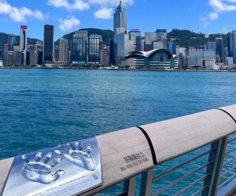 1781501160497619.jpg 图片2(2).jpg