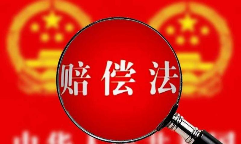 公法与私法的救济分野：行政赔偿与民事赔偿的法理辨析与制度比较